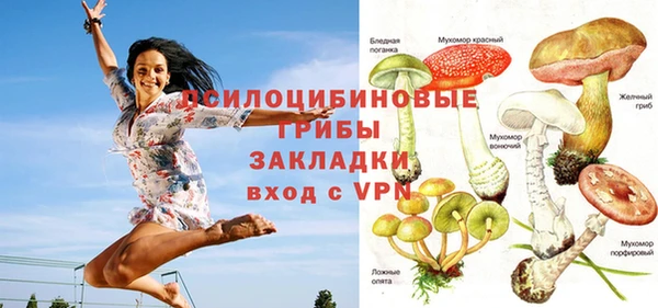 apvp Семилуки