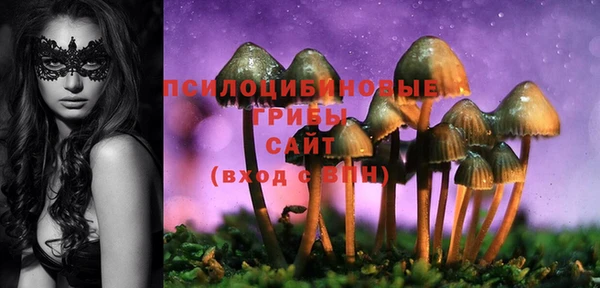 apvp Семилуки