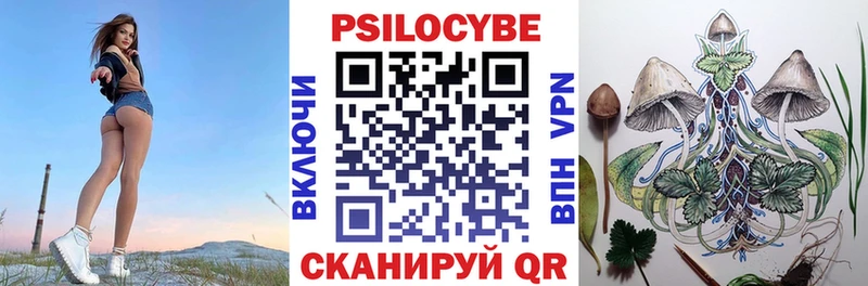 Псилоцибиновые грибы Magic Shrooms  Терек 